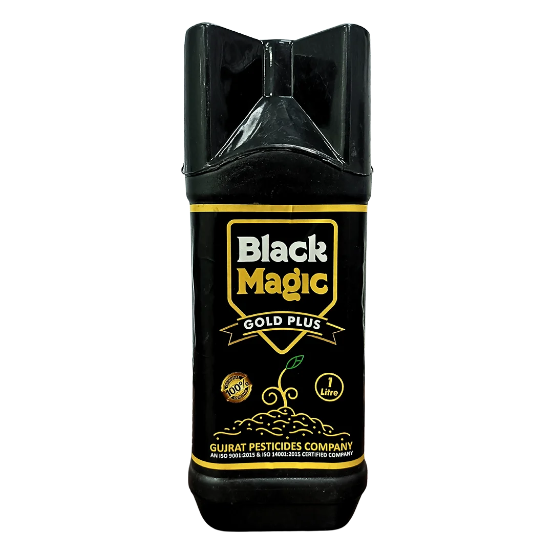 BLACK MAGIC GOLD PLUS